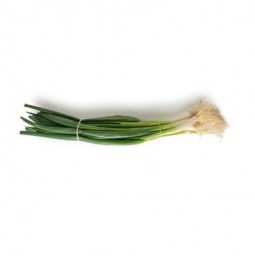 Ajetes tiernos de Huerta de Madrid (manojo)