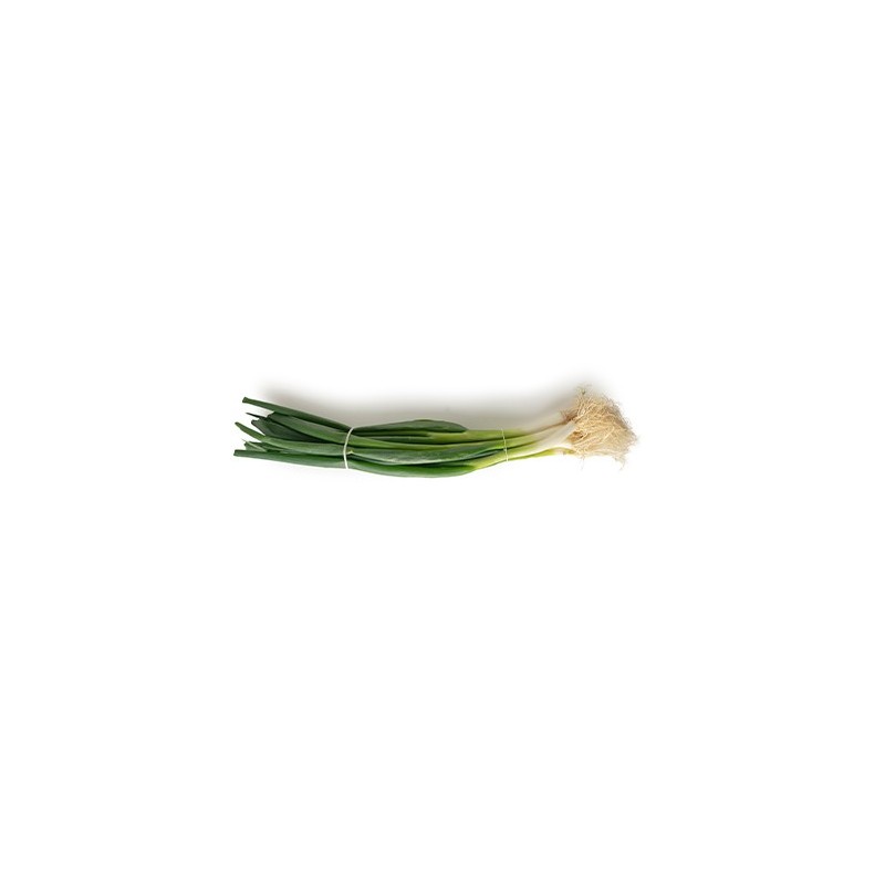 Ajetes tiernos de Huerta de Madrid (manojo)