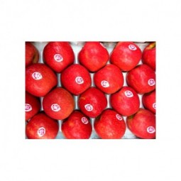 Manzana Pink Lady