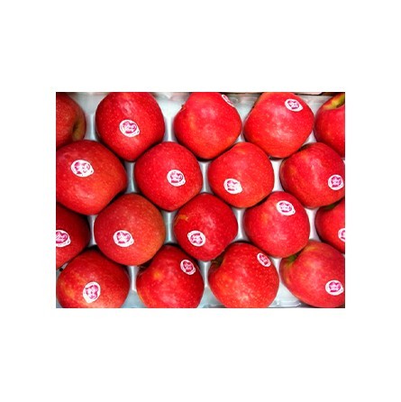 Manzana Pink Lady