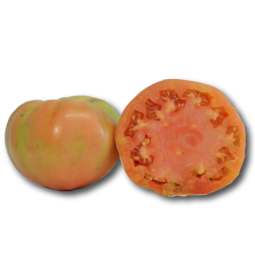 Tomate Rosa Ecológico de Barbastro