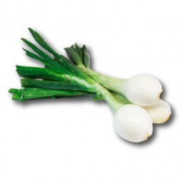 Cebolletas de Huerta de Madrid