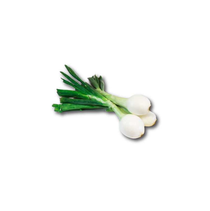 Cebolletas de Huerta de Madrid
