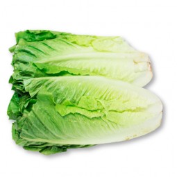 Lechuga Romana pack x2 de Huerta de Madrid