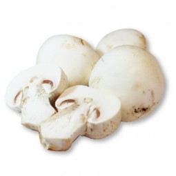 Champiñones enteros Nacionales